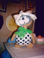 08